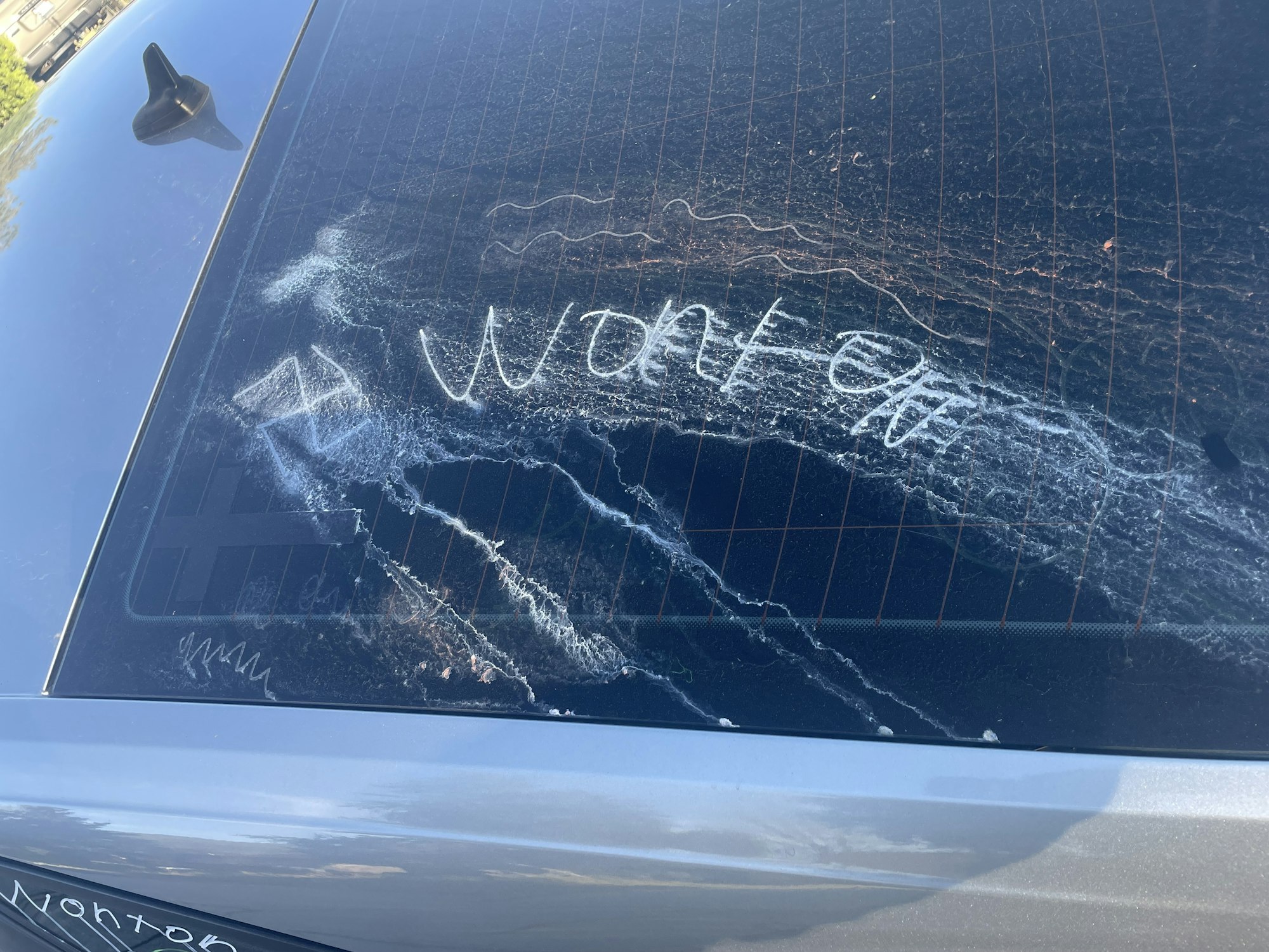 May contain: outdoors